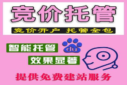行业领先的SEM优化案例：提升品牌曝光率